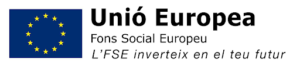 fons social europeu